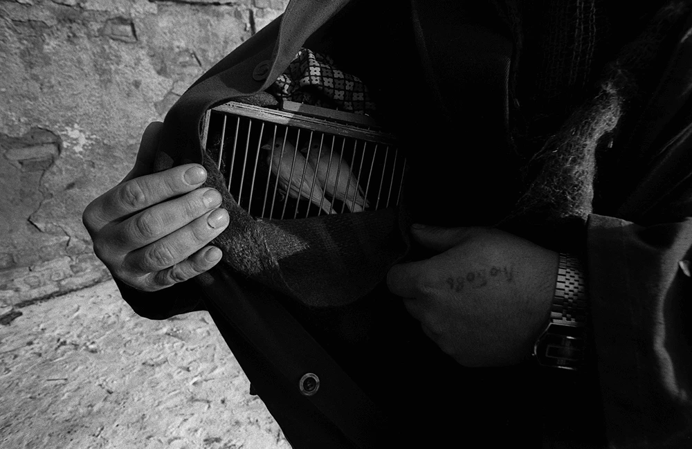 Schwarz-Weiß-Fotografie: Hände halten ein Musikinstrument